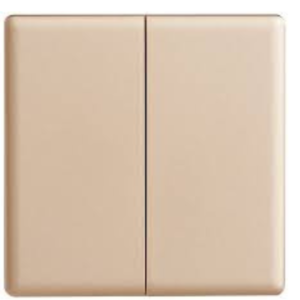 2GAN 2WAY GOLD